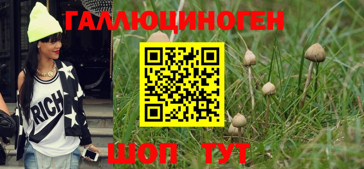 Псилоцибиновые грибы MAGIC MUSHROOMS  Вход с VPN  Псилоцибиновые грибы мухоморы  Карталы 